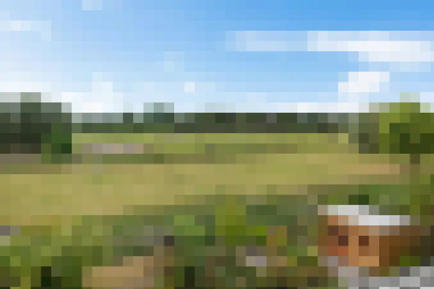 Gerbrant Meussweg 14 Zwaanshoek thumbnail 47