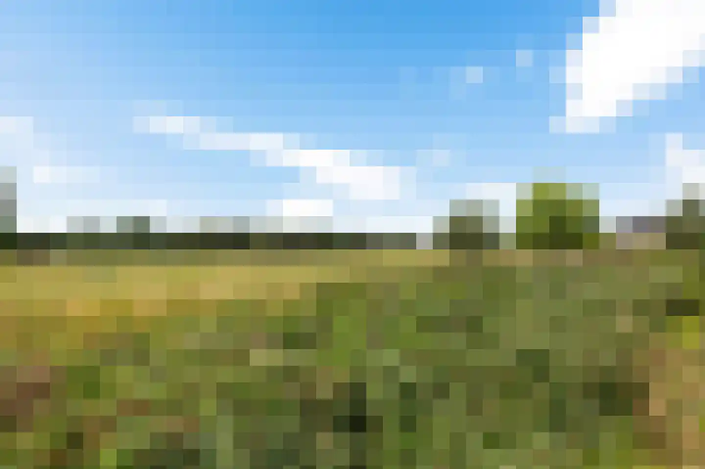 Gerbrant Meussweg 14 Zwaanshoek thumbnail 48