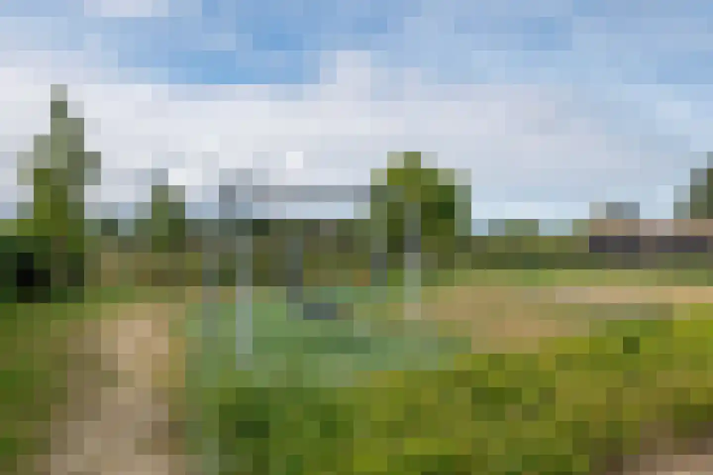 Gerbrant Meussweg 14 Zwaanshoek thumbnail 56