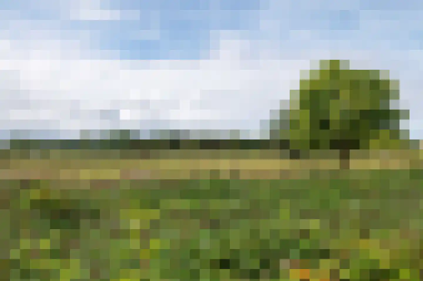 Gerbrant Meussweg 14 Zwaanshoek thumbnail 57