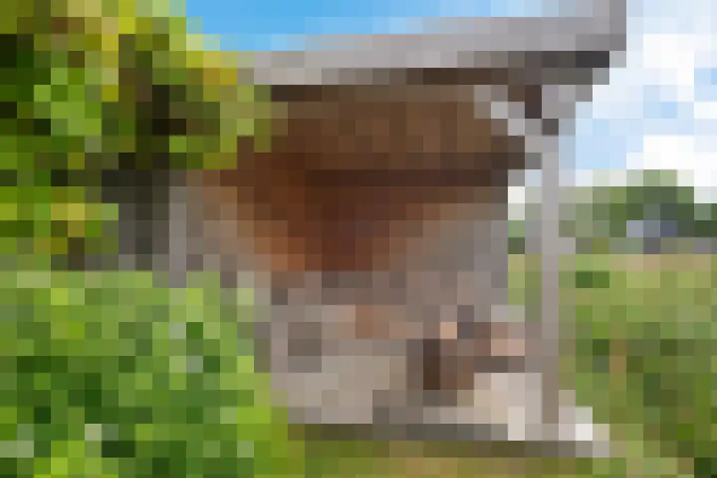 Gerbrant Meussweg 14 Zwaanshoek thumbnail 6