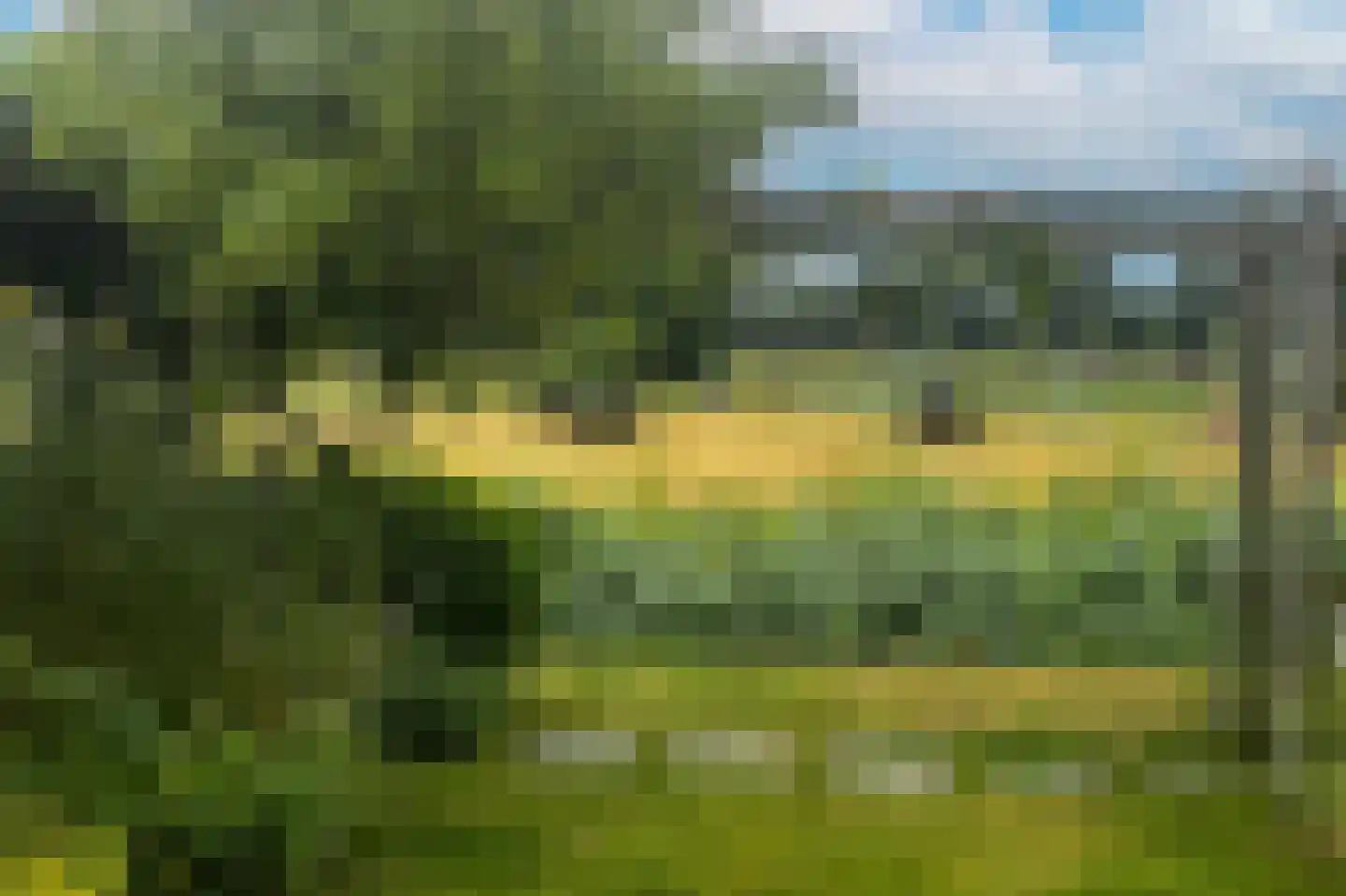 Gerbrant Meussweg 14 Zwaanshoek thumbnail 7