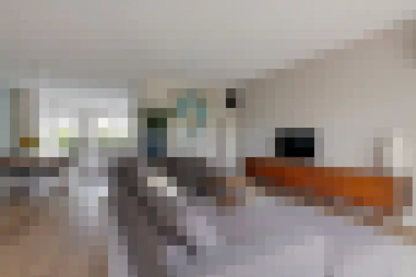 Gerbrant Meussweg 14 Zwaanshoek thumbnail 9