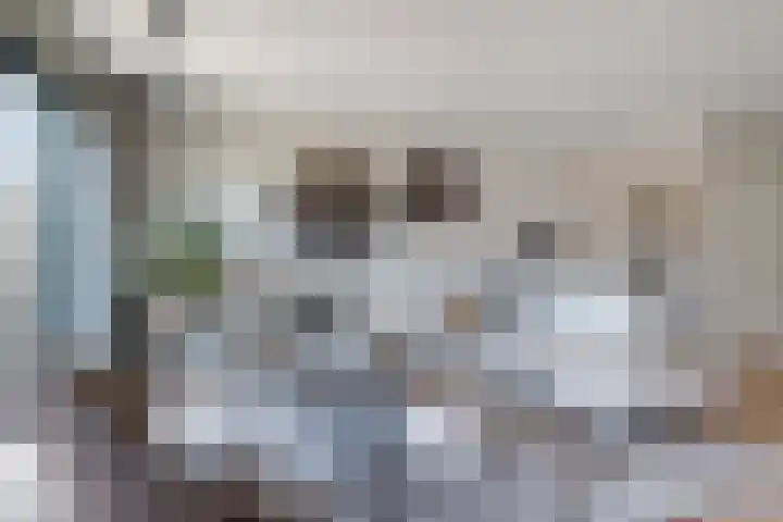Gerbrant Meussweg 3 Zwaanshoek thumbnail 11