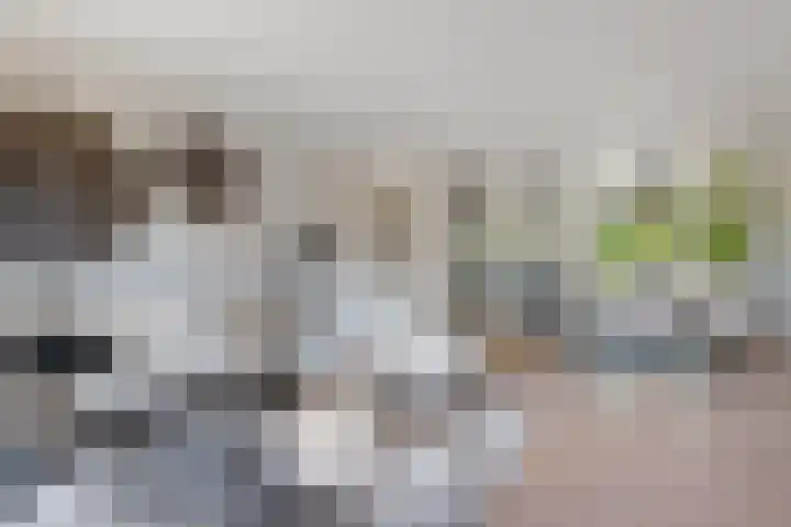 Gerbrant Meussweg 3 Zwaanshoek thumbnail 12