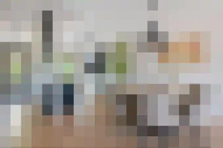 Gerbrant Meussweg 3 Zwaanshoek thumbnail 13