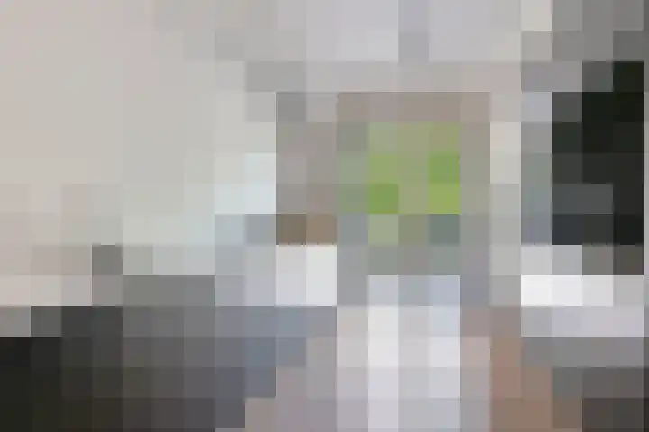 Gerbrant Meussweg 3 Zwaanshoek thumbnail 14