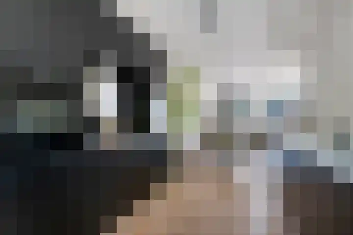 Gerbrant Meussweg 3 Zwaanshoek thumbnail 15