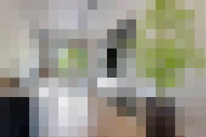 Gerbrant Meussweg 3 Zwaanshoek thumbnail 16