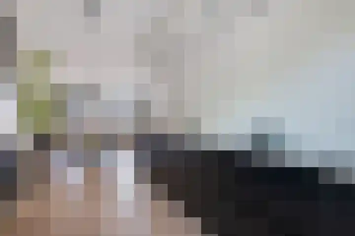 Gerbrant Meussweg 3 Zwaanshoek thumbnail 17