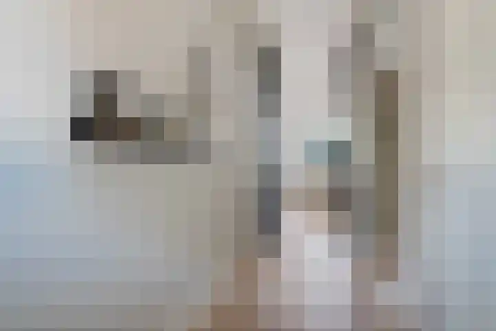 Gerbrant Meussweg 3 Zwaanshoek thumbnail 20