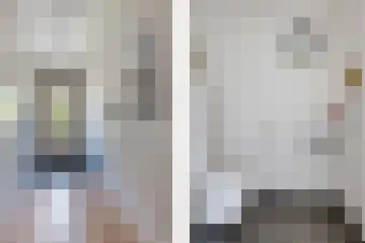 Gerbrant Meussweg 3 Zwaanshoek thumbnail 21
