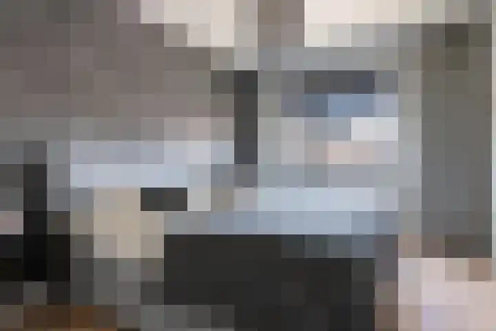 Gerbrant Meussweg 3 Zwaanshoek thumbnail 22
