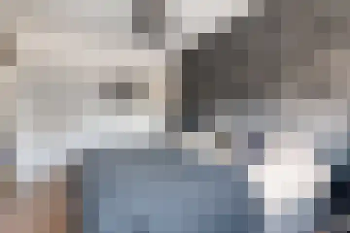 Gerbrant Meussweg 3 Zwaanshoek thumbnail 23