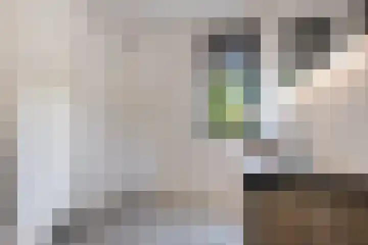 Gerbrant Meussweg 3 Zwaanshoek thumbnail 26