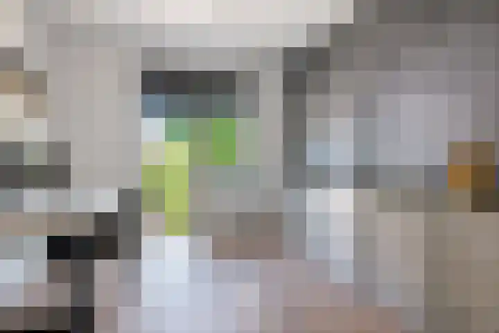 Gerbrant Meussweg 3 Zwaanshoek thumbnail 28