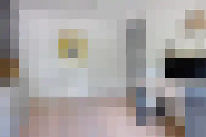 Gerbrant Meussweg 3 Zwaanshoek thumbnail 29