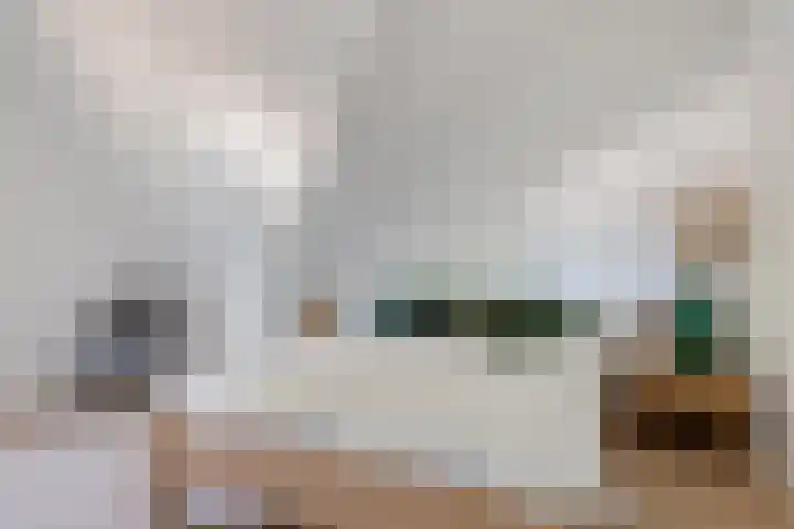 Gerbrant Meussweg 3 Zwaanshoek thumbnail 31