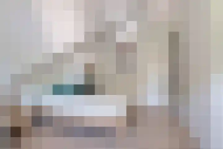 Gerbrant Meussweg 3 Zwaanshoek thumbnail 32