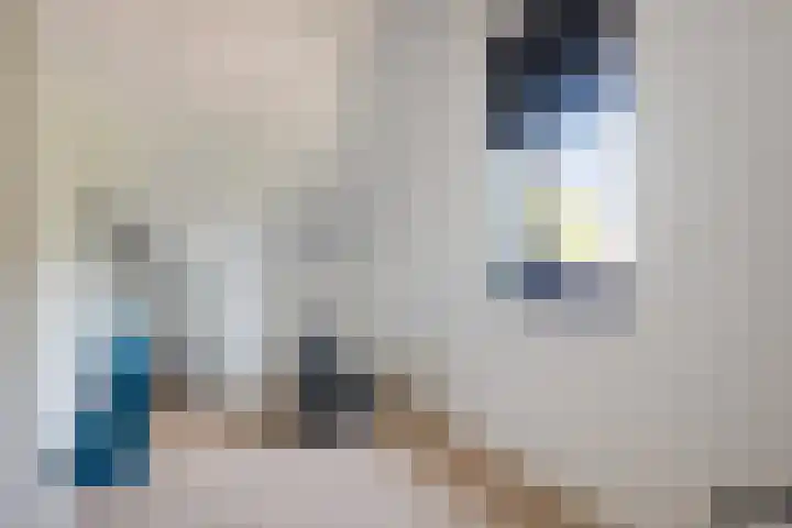 Gerbrant Meussweg 3 Zwaanshoek thumbnail 33