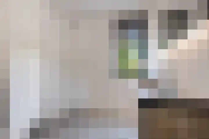 Gerbrant Meussweg 3 Zwaanshoek thumbnail 4