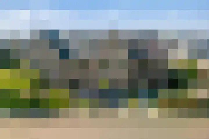 Gerbrant Meussweg 3 Zwaanshoek thumbnail 40