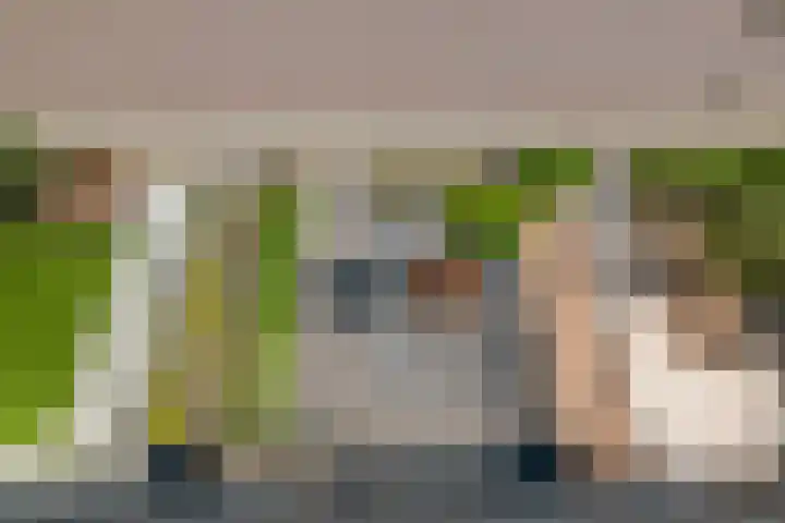 Gerbrant Meussweg 3 Zwaanshoek thumbnail 42