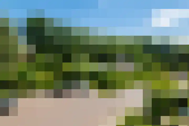Gerbrant Meussweg 3 Zwaanshoek thumbnail 43