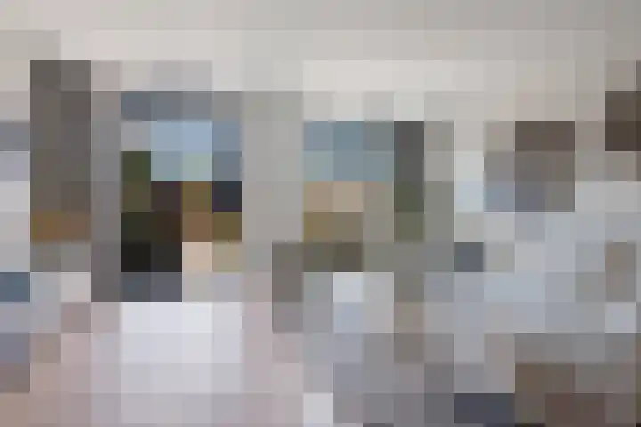 Gerbrant Meussweg 3 Zwaanshoek thumbnail 9