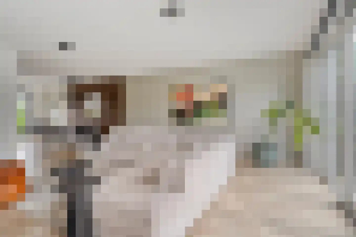Gerbrant Meussweg 4 Zwaanshoek thumbnail 10