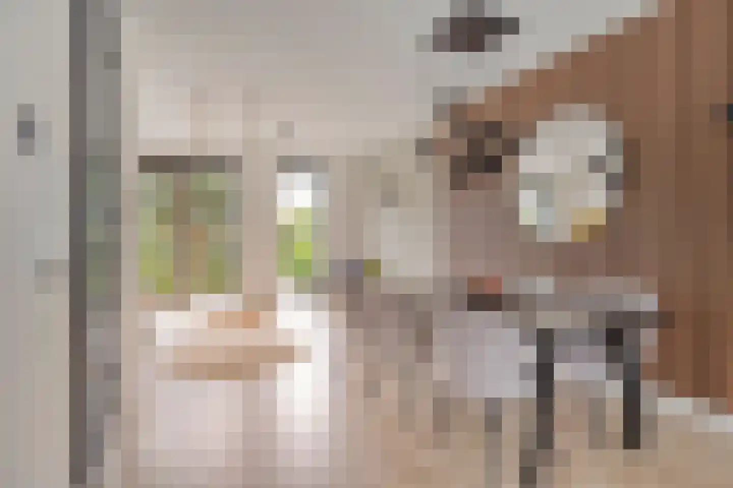 Gerbrant Meussweg 4 Zwaanshoek thumbnail 13
