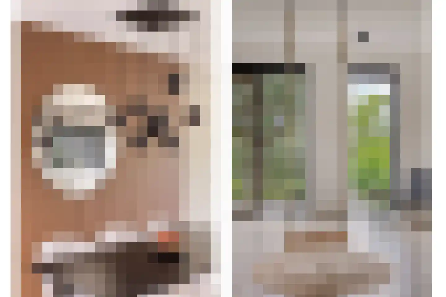 Gerbrant Meussweg 4 Zwaanshoek thumbnail 14