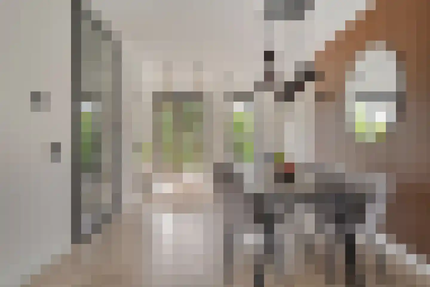 Gerbrant Meussweg 4 Zwaanshoek thumbnail 15
