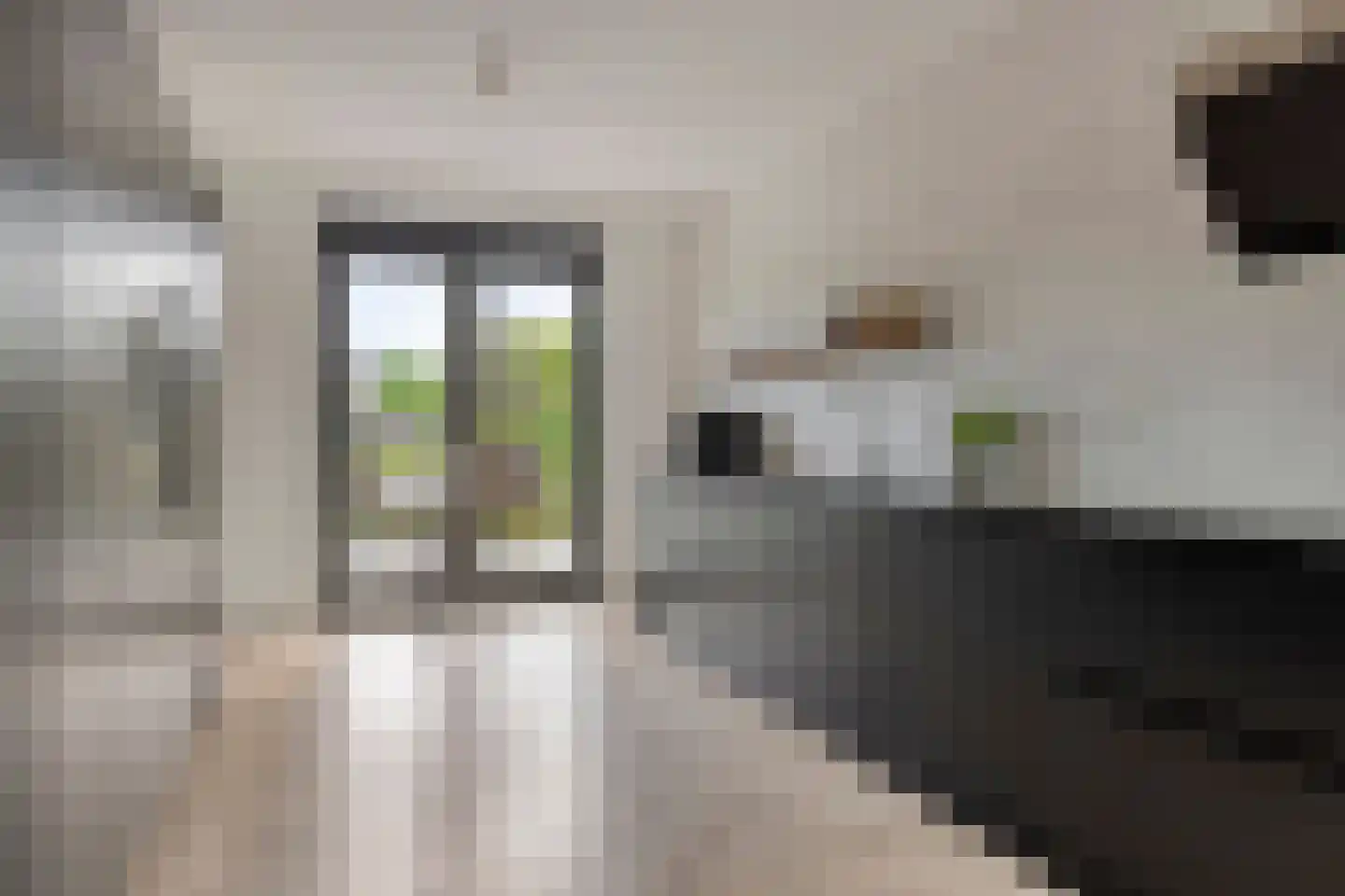 Gerbrant Meussweg 4 Zwaanshoek thumbnail 20