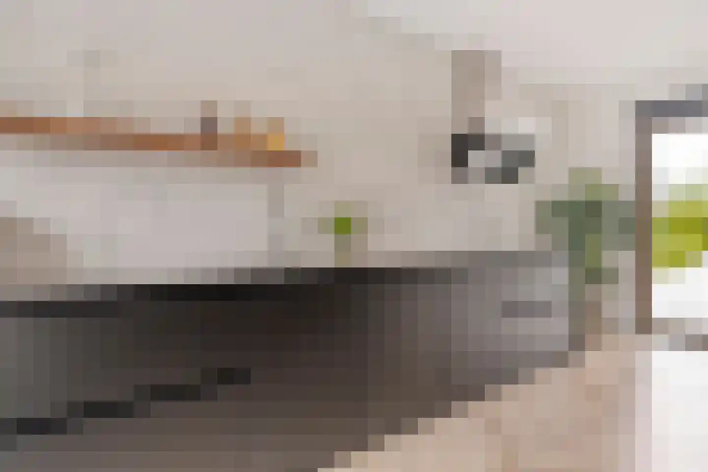 Gerbrant Meussweg 4 Zwaanshoek thumbnail 21