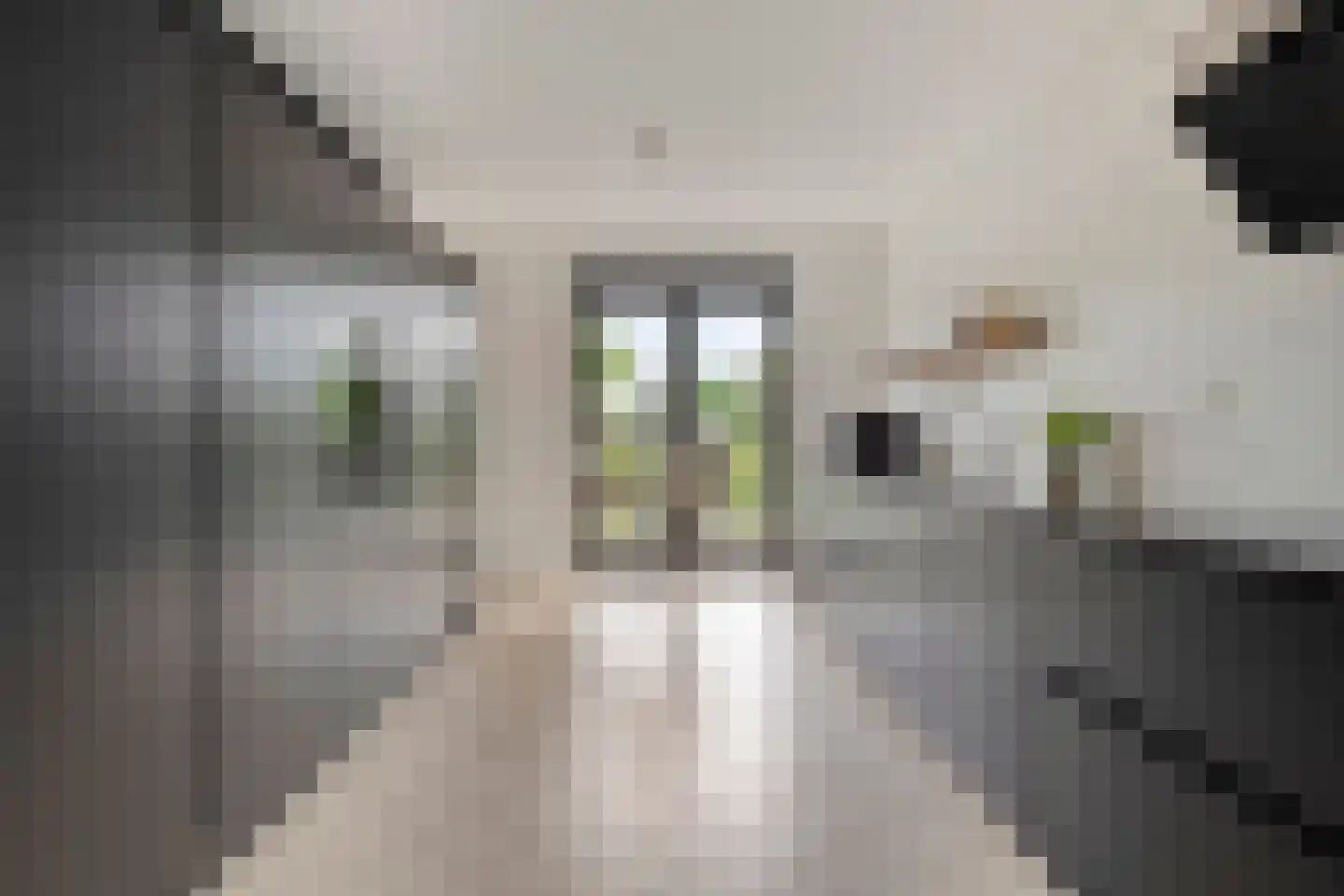 Gerbrant Meussweg 4 Zwaanshoek thumbnail 22
