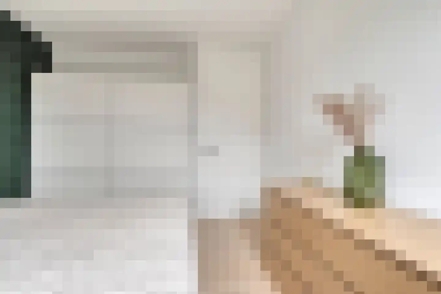 Gerbrant Meussweg 4 Zwaanshoek thumbnail 28
