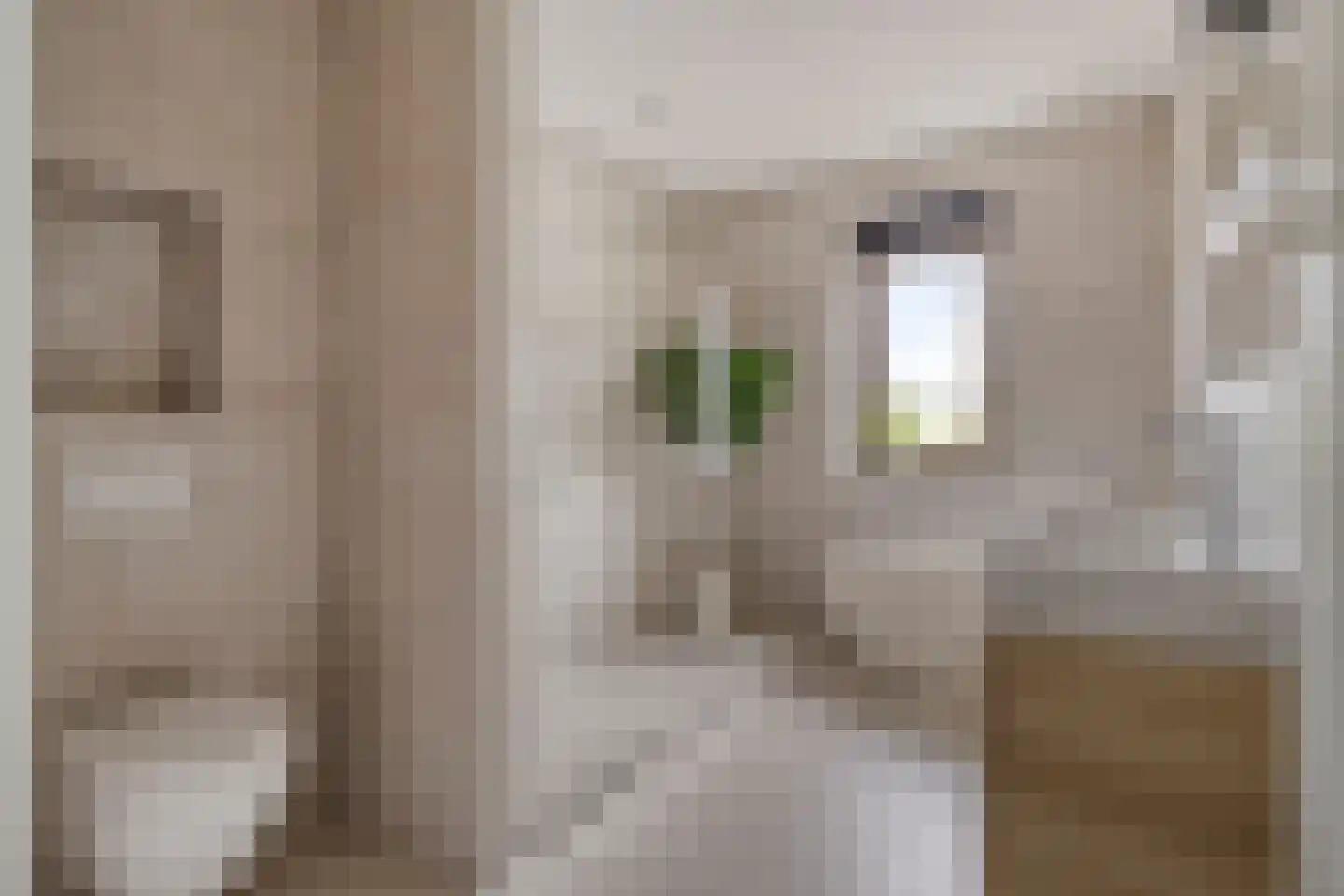 Gerbrant Meussweg 4 Zwaanshoek thumbnail 29