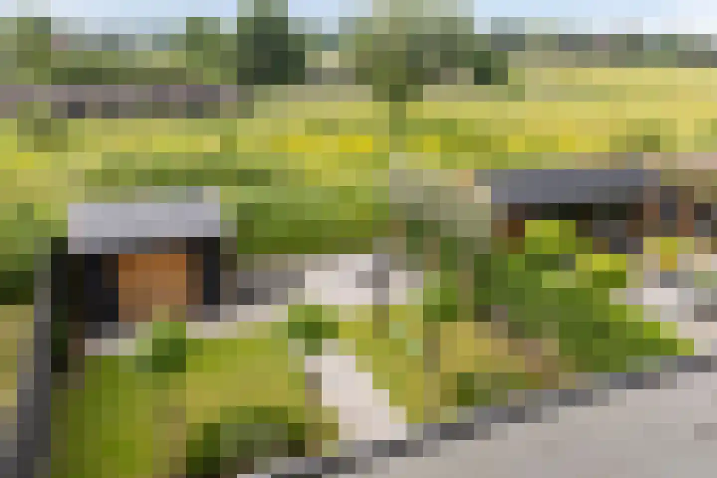 Gerbrant Meussweg 4 Zwaanshoek thumbnail 43