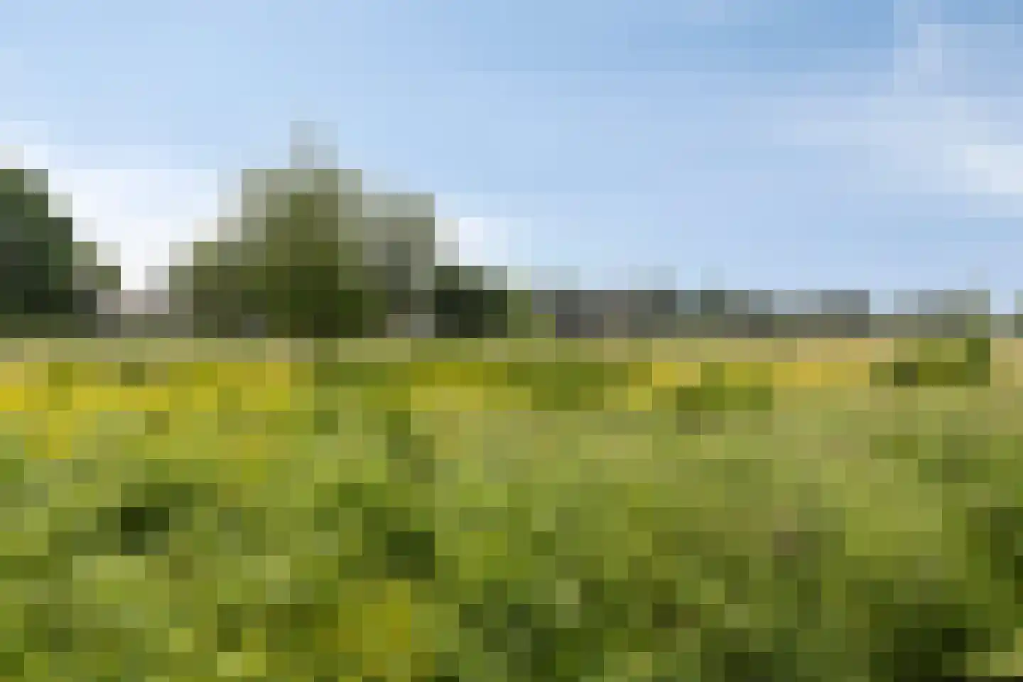 Gerbrant Meussweg 4 Zwaanshoek thumbnail 51