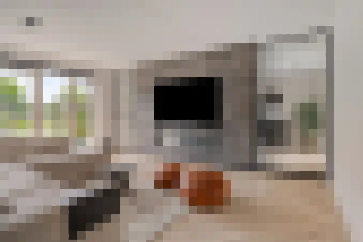 Gerbrant Meussweg 4 Zwaanshoek thumbnail 7
