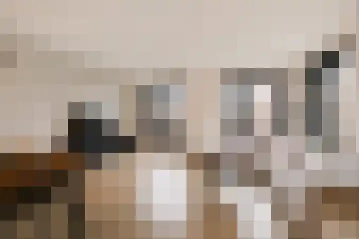 Gerbrigslân 1 Goutum thumbnail 10