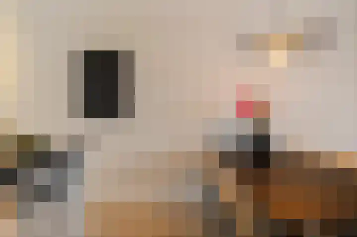Gerbrigslân 1 Goutum thumbnail 11