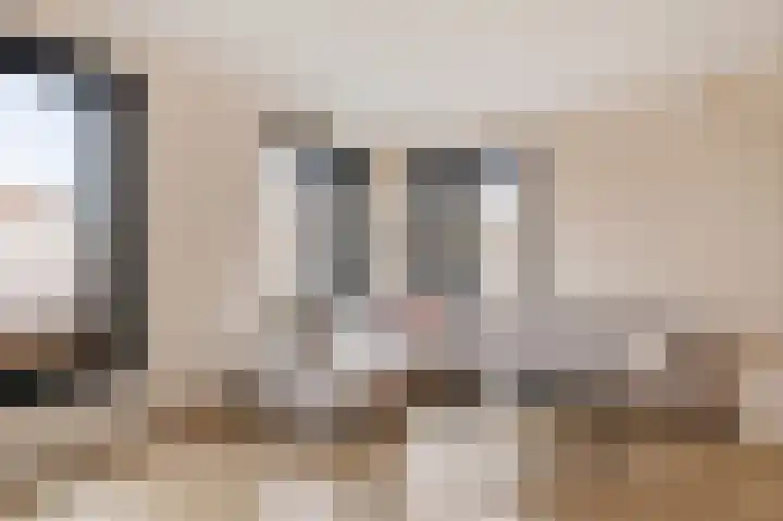 Gerbrigslân 1 Goutum thumbnail 12