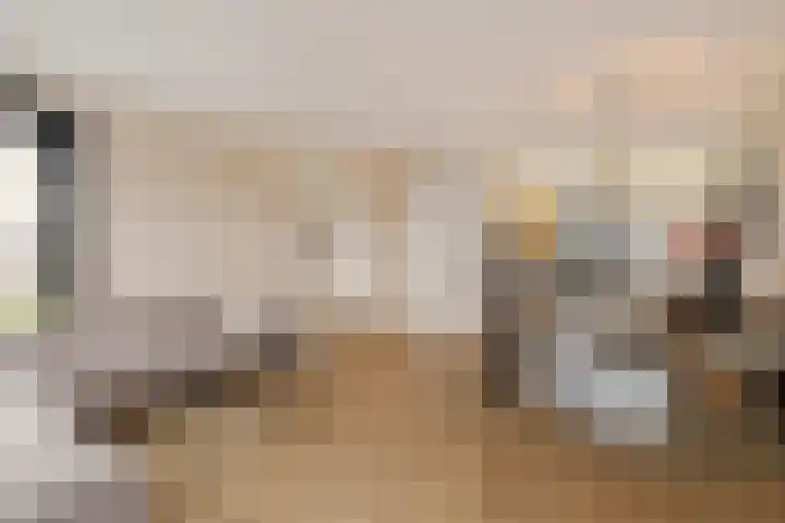 Gerbrigslân 1 Goutum thumbnail 13