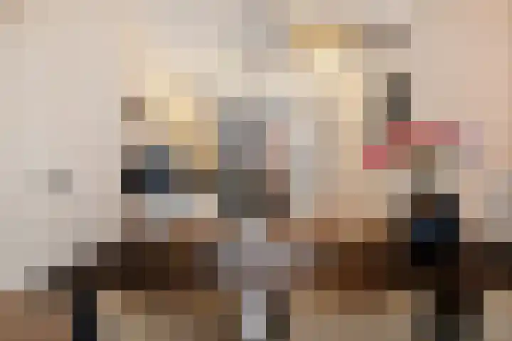 Gerbrigslân 1 Goutum thumbnail 14