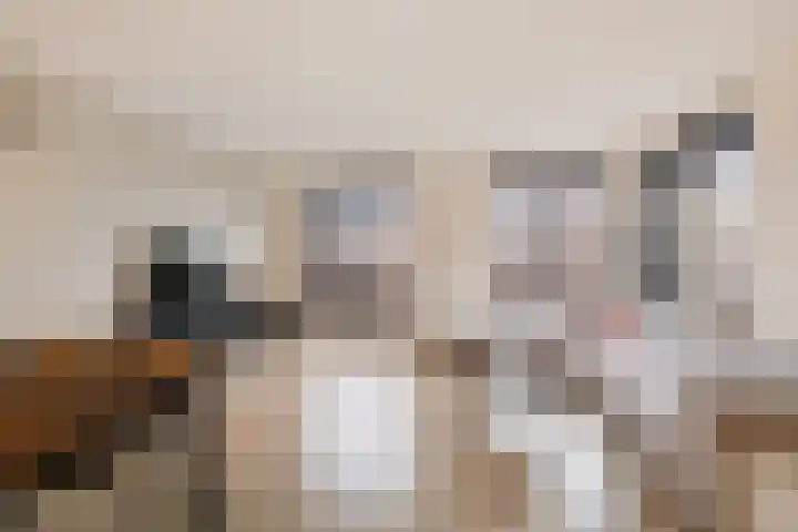 Gerbrigslân 1 Goutum thumbnail 15