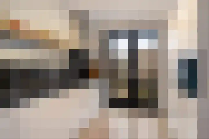 Gerbrigslân 1 Goutum thumbnail 17