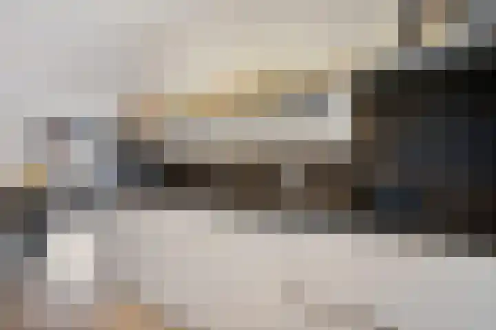 Gerbrigslân 1 Goutum thumbnail 19