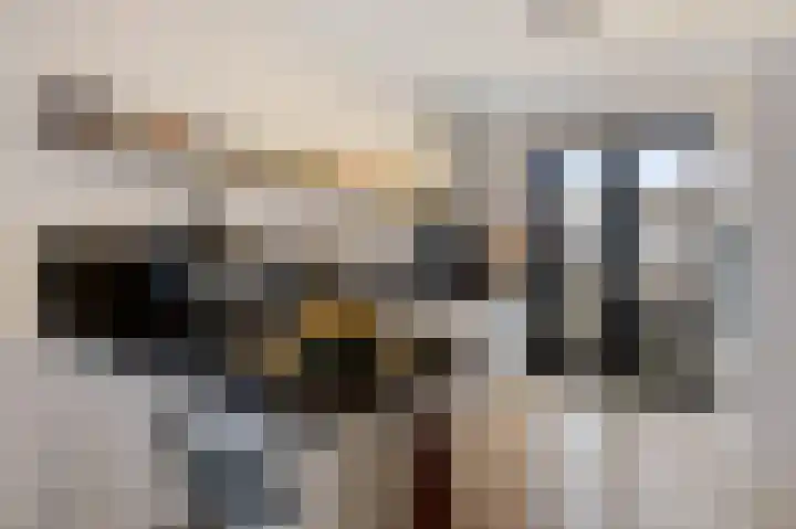 Gerbrigslân 1 Goutum thumbnail 20